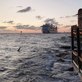 Karibik-Kreuzfahrt_AIDAperla_Curacao_2019-12-01_130