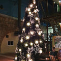 Karibik-Kreuzfahrt_AIDAperla_Curacao_2019-12-01_159