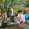 Karibik-Kreuzfahrt_AIDAperla_Curacao_2019-12-01_25