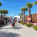 Karibik-Kreuzfahrt_AIDAperla_Curacao_2019-12-01_46