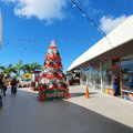 Karibik-Kreuzfahrt_AIDAperla_Curacao_2019-12-01_49