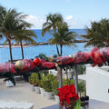Karibik-Kreuzfahrt_AIDAperla_Curacao_2019-12-01_69