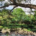 Karibik-Kreuzfahrt_AIDAperla_Grenada_2019-12-04_108