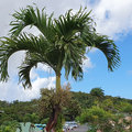 Karibik-Kreuzfahrt_AIDAperla_Grenada_2019-12-04_40