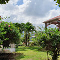 Karibik-Kreuzfahrt_AIDAperla_Grenada_2019-12-04_79