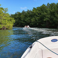 Karibik-Kreuzfahrt_AIDAperla_Guadeloupe_2019-12-08_25