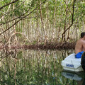 Karibik-Kreuzfahrt_AIDAperla_Guadeloupe_2019-12-08_34