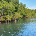 Karibik-Kreuzfahrt_AIDAperla_Guadeloupe_2019-12-08_40