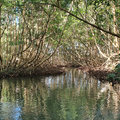 Karibik-Kreuzfahrt_AIDAperla_Guadeloupe_2019-12-08_41