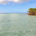 Karibik, Guadeloupe: klicken für Infos