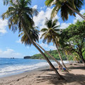 Karibik-Kreuzfahrt_AIDAperla_St-Vincent_2019-12-06_102