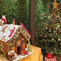 Karibik-Kreuzfahrt_AIDAperla_zur_Weihnachtszeit_2023-12-26_139