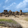 Karibik-Kreuzfahrt_AIDAperla_Aruba-Ausflug_2023-12-23_113