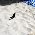 Karibik-Kreuzfahrt_AIDAperla_Aruba-Ausflug_2023-12-23_125