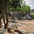 Karibik-Kreuzfahrt_AIDAperla_Aruba-Ausflug_2023-12-23_37