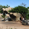 Karibik-Kreuzfahrt_AIDAperla_Aruba-Ausflug_2023-12-23_38
