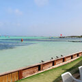 Karibik-Kreuzfahrt_AIDAperla_Bonaire-Ausflug_2023-12-25_56