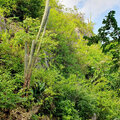 Karibik-Kreuzfahrt_AIDAperla_Curacao-Ausflug_2023-12-24_20