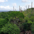 Karibik-Kreuzfahrt_AIDAperla_Curacao-Ausflug_2023-12-24_32