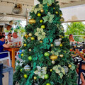 Karibik-Kreuzfahrt_AIDAperla_Curacao-Ausflug_2023-12-24_87