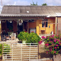 Karibik-Kreuzfahrt_AIDAperla_Curacao-Ausflug_2023-12-24_92