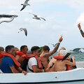 Karibik-Kreuzfahrt_AIDAperla_Saona-Ausflug-mit-Atze_2023-12-21_101