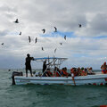 Karibik-Kreuzfahrt_AIDAperla_Saona-Ausflug-mit-Atze_2023-12-21_103