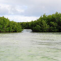 Karibik-Kreuzfahrt_AIDAperla_Saona-Ausflug-mit-Atze_2023-12-21_110