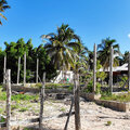 Karibik-Kreuzfahrt_AIDAperla_Saona-Ausflug-mit-Atze_2023-12-21_45