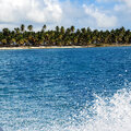 Karibik-Kreuzfahrt_AIDAperla_Saona-Ausflug-mit-Atze_2023-12-21_53