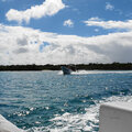 Karibik-Kreuzfahrt_AIDAperla_Saona-Ausflug-mit-Atze_2023-12-21_56