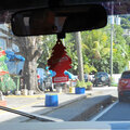 Karibik-Kreuzfahrt_AIDAperla_Dominica-Ausflug_2023-12-17_116