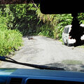 Karibik-Kreuzfahrt_AIDAperla_Dominica-Ausflug_2023-12-17_91