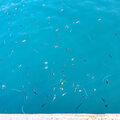 Karibik-Kreuzfahrt_AIDAperla_Grenada-Ausflug_2023-12-27_13