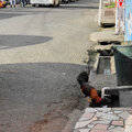 Karibik-Kreuzfahrt_AIDAperla_Grenada-Ausflug_2023-12-27_136