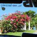 Karibik-Kreuzfahrt_AIDAperla_Grenada-Ausflug_2023-12-27_51