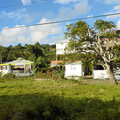 Karibik-Kreuzfahrt_AIDAperla_Guadeloupe-Ausflug_2023-12-18_119