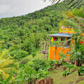 Karibik-Kreuzfahrt_AIDAperla_St-Lucia-Ausflug_2023-12-16_199