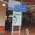 Karibik-Kreuzfahrt_AIDAperla_St-Vincent_2023-12-15_11