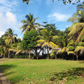 Karibik-Kreuzfahrt_AIDAperla_St-Vincent_2023-12-15_94