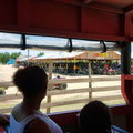 Buggy-Ausflug Playa Macao: klicken f&uuml;r Infos