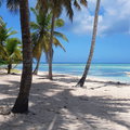 Insel Saona: klicken für Infos