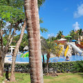 Karibik-Dominikanische-Republik_Buggy-Tour_Macao-Beach_2021-12-26_2