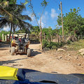 Karibik-Dominikanische-Republik_Buggy-Tour_Macao-Beach_2021-12-26_46