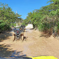 Karibik-Dominikanische-Republik_Buggy-Tour_Macao-Beach_2021-12-26_49