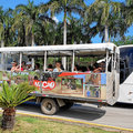 Karibik-Dominikanische-Republik_Buggy-Tour_Macao-Beach_2021-12-26_5