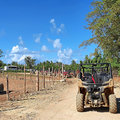 Karibik-Dominikanische-Republik_Buggy-Tour_Macao-Beach_2021-12-26_51