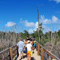 Karibik-Dominikanische-Republik_Buggy-Tour_Macao-Beach_2021-12-26_54