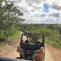 Karibik-Dominikanische-Republik_Buggy-Tour_Macao-Beach_2021-12-26_62