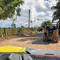 Karibik-Dominikanische-Republik_Buggy-Tour_Macao-Beach_2021-12-26_66